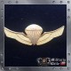 Piocha Paracaidista Armada Ejercito de Chile Chilean Army Parachute Badge