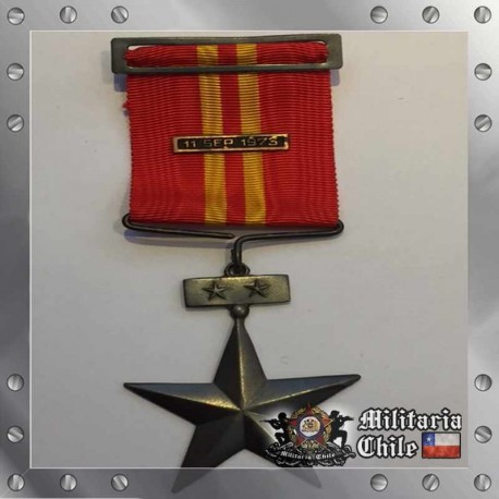 Servicios Distinguidos 3ra Clase Ejercito Chilean Army Medal 1973