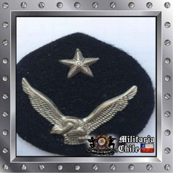 Escudete FACH Escuela de Aviacion Chilean Air Force Medal